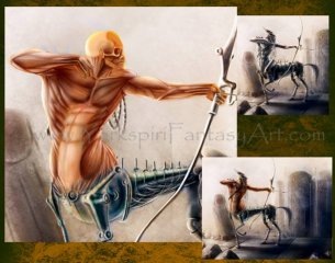 Centaur Muscle Anatomy