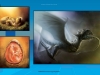 Dragons
